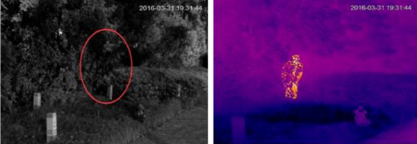 熱成像雙光譜云臺攝像安全防范應(yīng)用 圖片關(guān)鍵詞