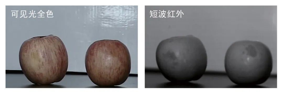短波紅外鏡頭水果損傷檢測 圖片關(guān)鍵詞